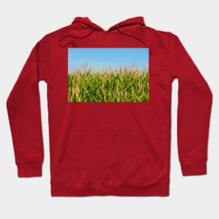 Corn Field Hoodie